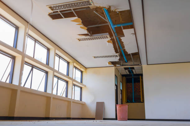 Best Water damage restoration near me  in Wabasso, FL