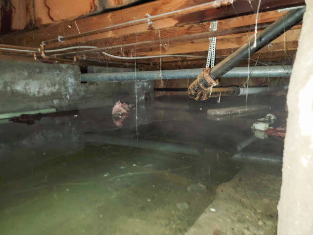 , FL Water damage restoration Company