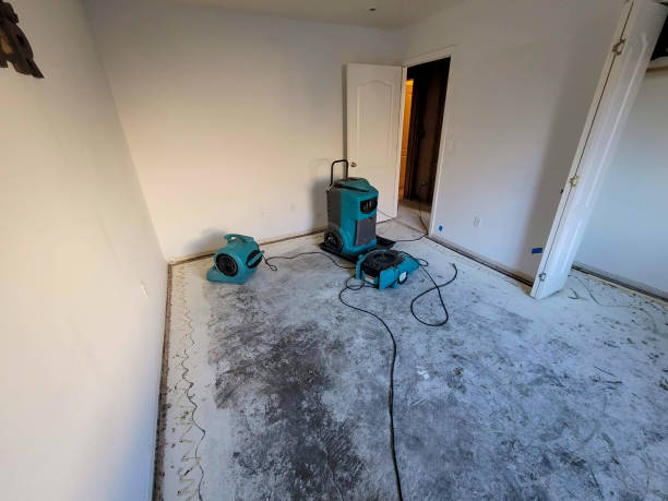 Best Flood restoration services  in Wabasso, FL