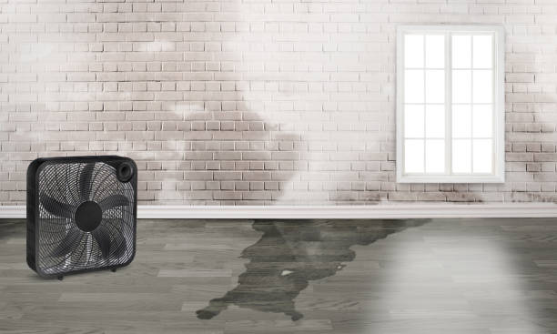 Best Commercial water damage restoration  in Wabasso, FL