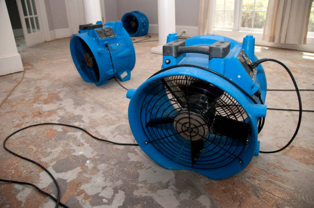 Sewage cleanup and water damage restoration in FL