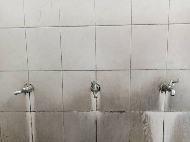 Best Local water damage restoration  in Wabasso, FL