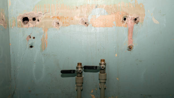 Best 24/7 water damage repair  in Wabasso, FL