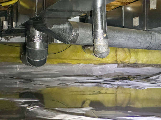 Best Flood damage cleanup  in Wabasso, FL
