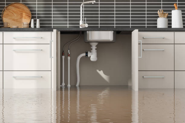  Wabasso, FL Water damage restoration Pros