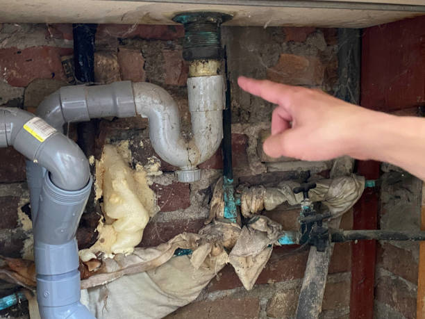 Best Flooded house restoration  in Wabasso, FL