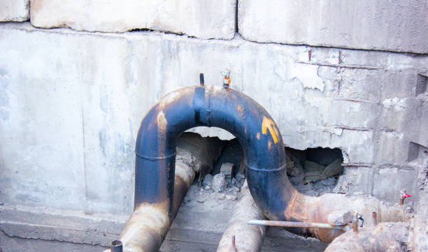 Best Water damage contractors near me  in Wabasso, FL