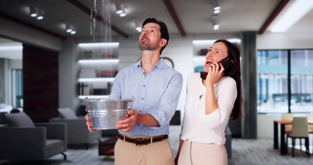 Best Water damage cleanup near me  in Wabasso, FL